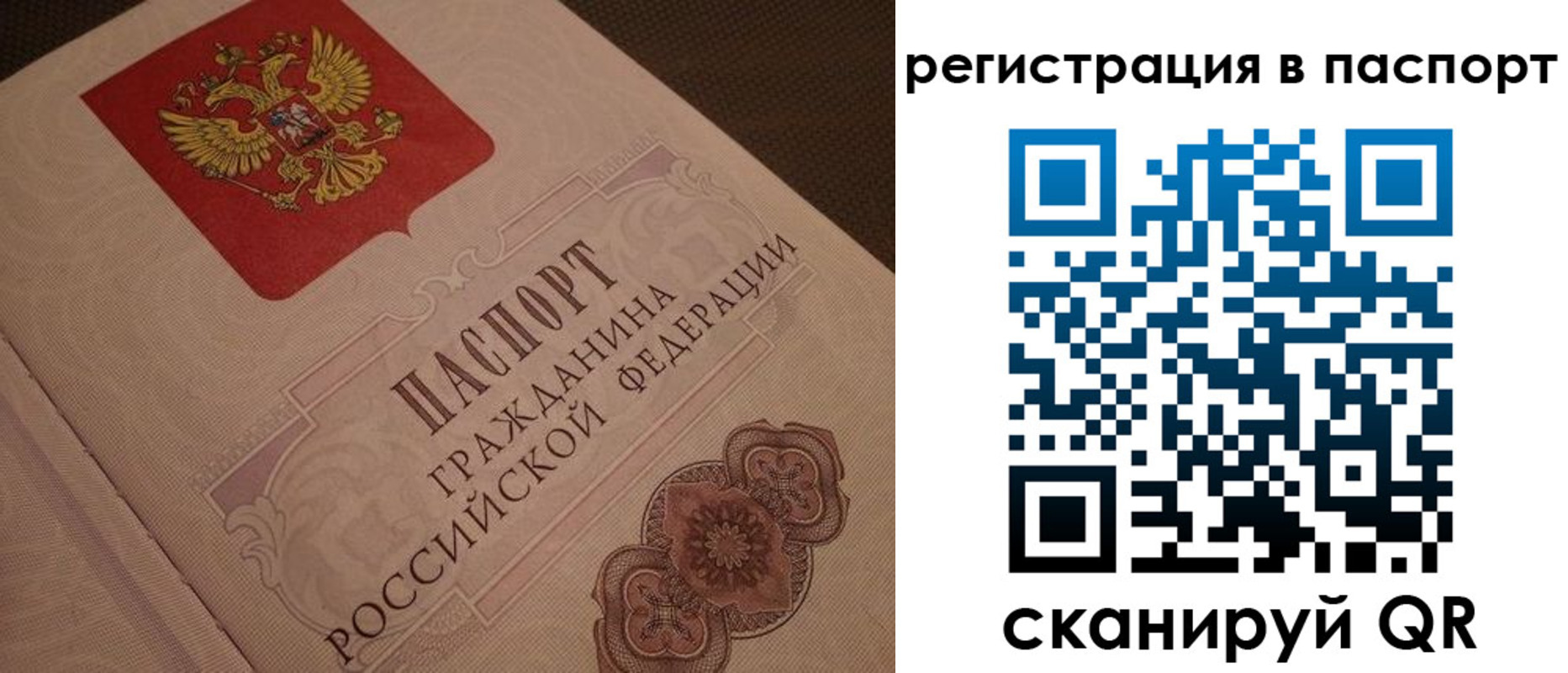 временная регистрация надежно в Нелидово